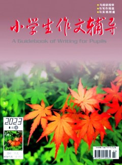 小学生作文辅导